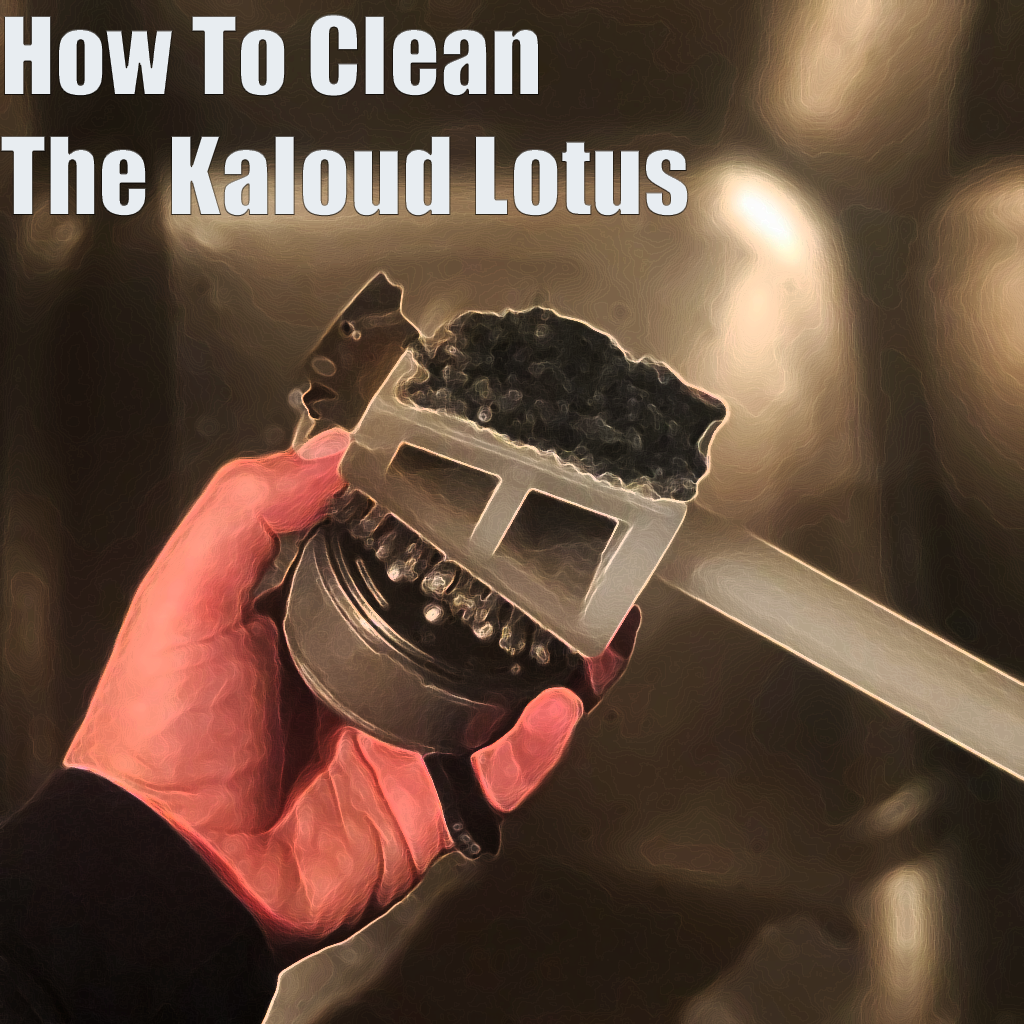 How To Clean Kaloud Lotus